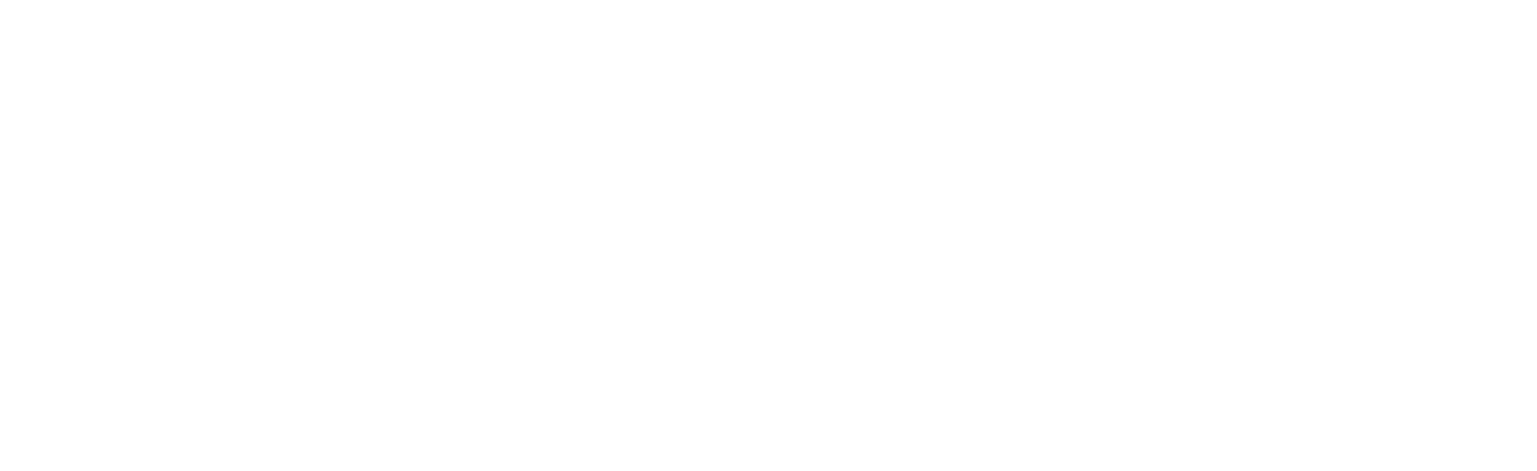 Logo Mediatransports Blanc